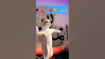 ايمان ايمان تحت طلب العديد انتظرونا Shortvideo Cat Comedy ايمان Shorts Short 