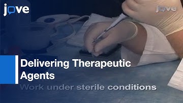 Intracerebroventricular (ICV) & Intravenous (IV) Injection: Mice l Protocol Preview