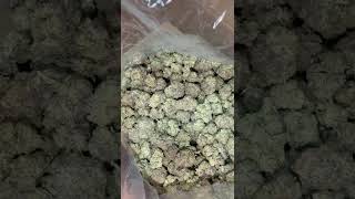 THCA Prices Are Down – Here’s Who’s Offering the Best Rates (2025)