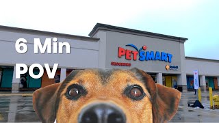 Exploring PetSmart: A 6-Minute POV Stroll Through the Pet Paradise!