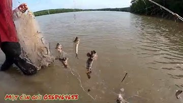 HAI CHA CON GIĂNG LƯỚI CÁ BỐNG SAO BỘI THU TOÀN CÁ MẬP Ú | Tập 299 | Một Cần Giờ