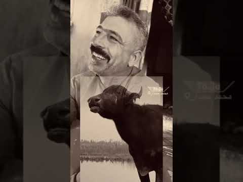 ترند ترند تيك توك سميره جاموس صارت ترند سميره يوي   العراق  يوتيوب اكسبلور