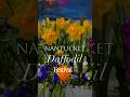 The Nantucket Daffodil Festival 🌼 #nantucket #daffodil #newengland #springvibes #daffodilfestival
