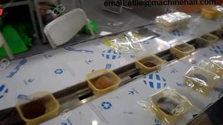 Automatic Moon Cake Packing Machine