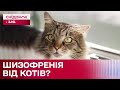 КОТИ ПРОВОКУЮТЬ ШИЗОФРЕНІЮ в людей: що кажуть експерти?