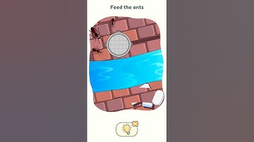 Feed the ants #viralvideo #dop2 #subscribe #trending #foryou
