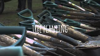 Download Lagu Julia Bradbury Tree Planting with Premier Paper Group and the Woodland Trust MP3 Download Lagu Julia Bradbury Tree Planting with Premier Paper Group and the Woodland Trust MP3