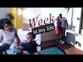 Vlog | Fez & Nuri's first playdate