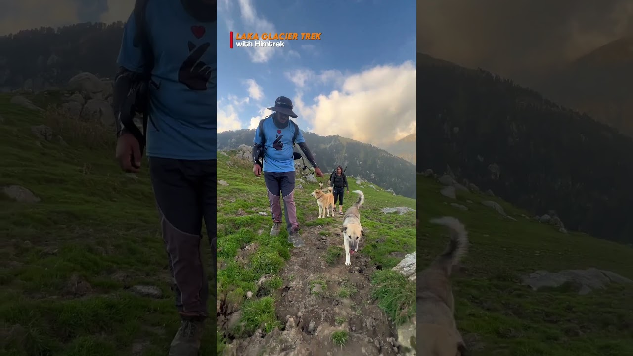 Laka Glacier Trek | Review Video | 2025 | Himtrek