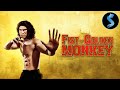Fist of golden monkey  full kung fu action movie  elton chong  eagle han ying
