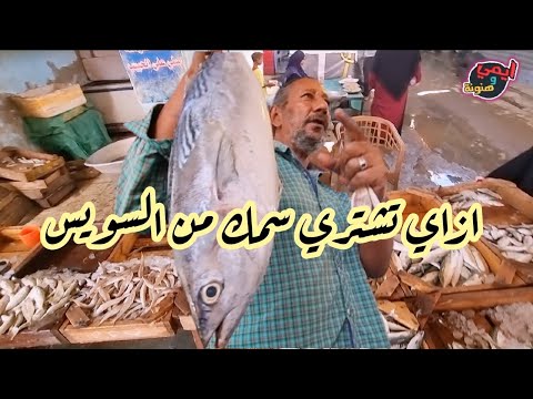 الحقوا اسماك السويس اليوم انتشار اكبر تشكيلة سمك وانخفاض اسعارها واقبال جماهيري عليها