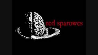 Red Sparowes - The great leap forward