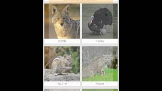 Hunting Calls - Phone/Tablet App Demo screenshot 4