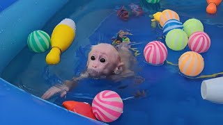 Smart Baby Monkey SUGAR Learns Swimming So Fast