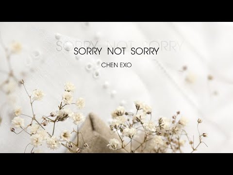 - Vietsub- Chen (첸) – Sorry not sorry (하고 싶던 말)