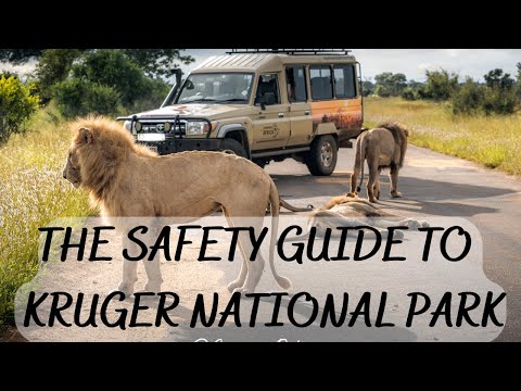 Kruger National Park tips that will change your life !! SAVE TIME AND MONEY