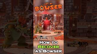 SECRET Bowser RECOVERY