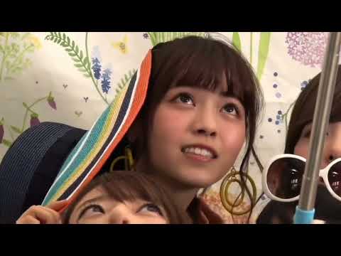 西野　白石　橋本　生田　飛鳥。豪華な1期生メンバー