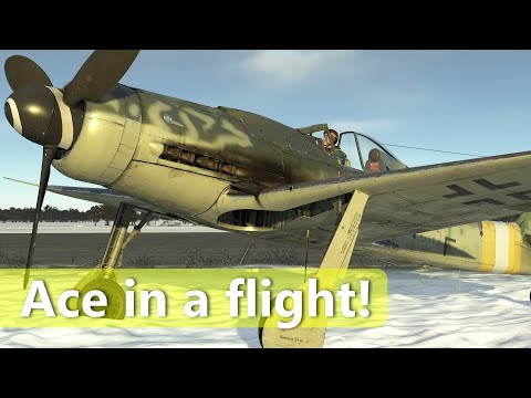 Dora Carnage - Ace in a flight +2 - Fw 190 D-9