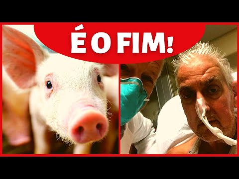 MEU DEUS ELES FIZERAM ISSO COM ELE ] MISERICÓRDIA SENTA PRA ASSISTIR ISSO