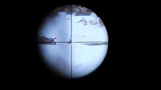 Iscope rabbit kill 17 hmr