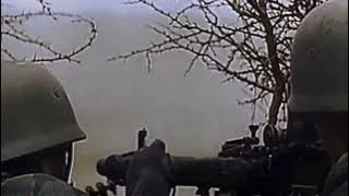 DOWNFALL(MUSIC VIDEO)