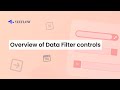 An Overview of Data Filter controls in Yeeflow