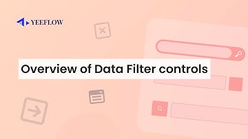 An Overview of Data Filter controls in Yeeflow