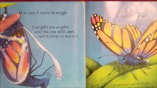 Story Time for Kids: "The Butterfly" 🦋