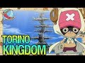 TORINO KINGDOM: Geography Is Everything - One Piece Discussion | Tekking101