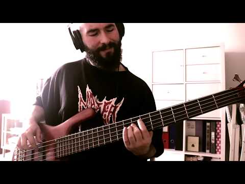 Death - Alin Iordache - Zero Tolerance (bass cover)