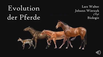 Warum hat sich das Pferd im Laufe der Evolution verändert?