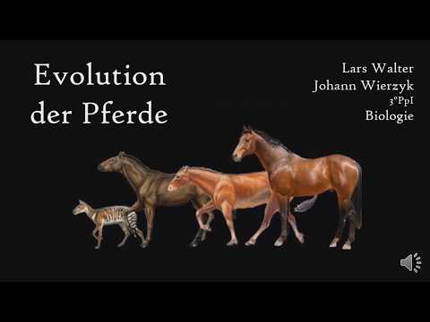 Video: Welche Tiere Waren Die Vorfahren Des Modernen Pferdes