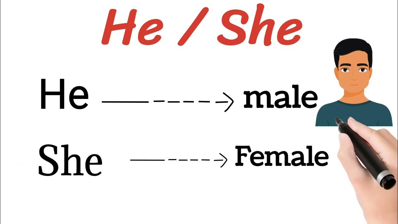 use of he ,she | basic english | basic rules of grammar || for ...