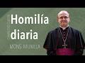 Homil&iacute;a 2.09.2026 &frasl;  Mi&eacute;rcoles de la 22a semana del Tiempo Ordinario