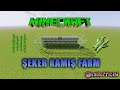 Minecraft Şeker Kamış Farmı Nasıl Yapılır ?