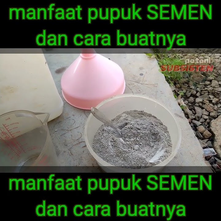 manfaat pupuk SEMEN dan cara buatnya || air semen