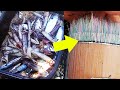 Catch A Lot of Fish! Traditional Sabiki Fishing | Catch Squid, Mackerel Tuna, Bonito Fish and More