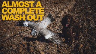 Pigeon Shooting  A Very Quiet Day ! [ SHORT HIGHLIGHT REEL ]
