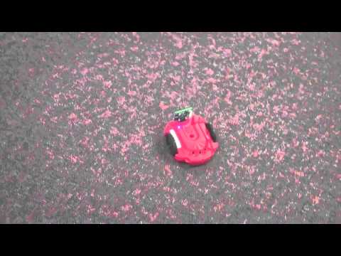 Scribbler Robot Dance