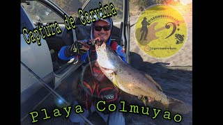 Pesca de Corvina, Playa Colmuyao. Cobquecura, Región de Ñuble.