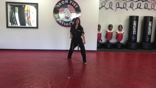 White Belt Form 2 - Kicho Ee-Jang - Follow Along Version