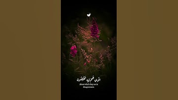 سورة النبأ #ياسر_الدوسري