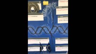 EMBL-EBI timeline