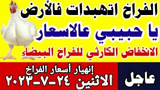 اسعار الفراخ اليوم| سعر الفراخ البيضاء اليوم الاثنين 24-7-2023 في مصر