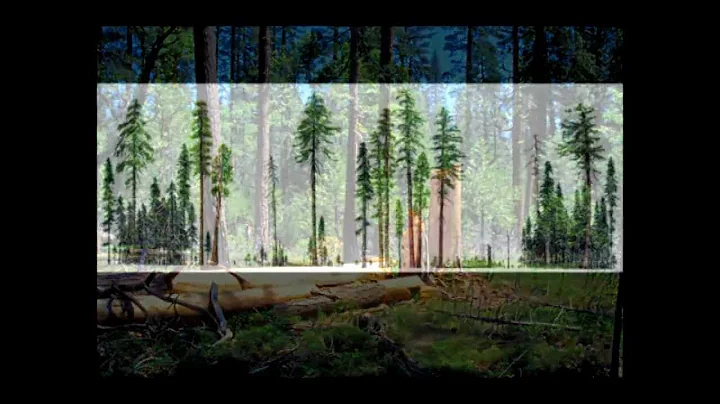 Forestry Talks - Jerry Franklin - Ecological fores...