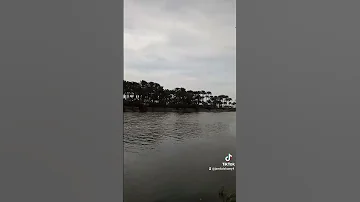 خبر ايه يابحر ياكبير 