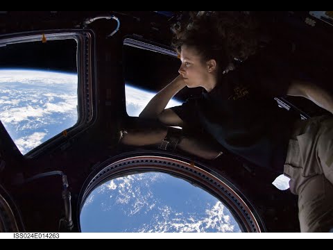 NASA Astronaut Tracy Dyson Launch to the Space Station