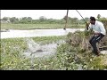 BIG ROHU Fishing 🎣🐟 Best Village Fishing Indian Fishing Fisher Man single Hook Fish Catching