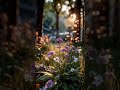Misty Forest Morning –Peaceful Ambient Music 편안한 힐링 음악 | 집중·명상·독서·휴식